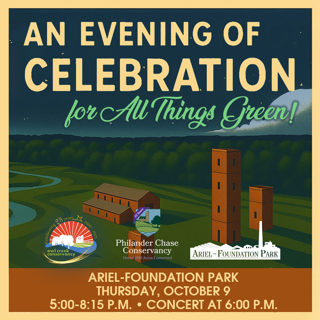 Evening of Celebration Square